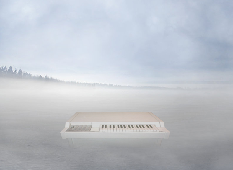 misty mellotron wilderness